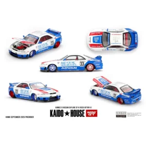 NISSAN SKYLINE GT-R (R33) BFTHR V1 Kaido House